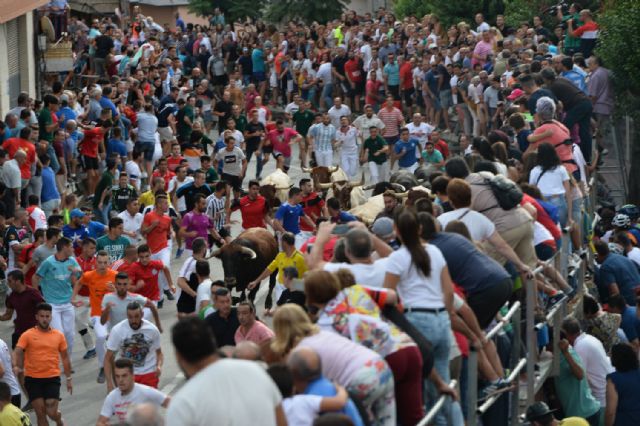 Los encierros taurinos de Calasparra se despiden con récord - 2, Foto 2