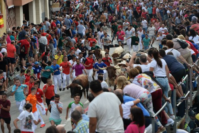 Los encierros taurinos de Calasparra se despiden con récord - 3, Foto 3