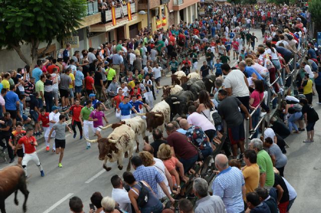Los encierros taurinos de Calasparra se despiden con récord - 5, Foto 5