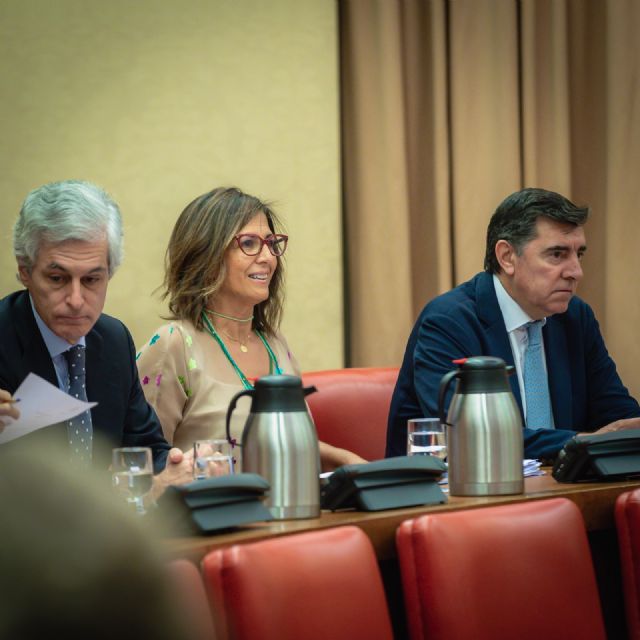 Borrego exige a Sánchez respuestas y compromisos sobre la financiación del Estado en la Región de Murcia - 1, Foto 1