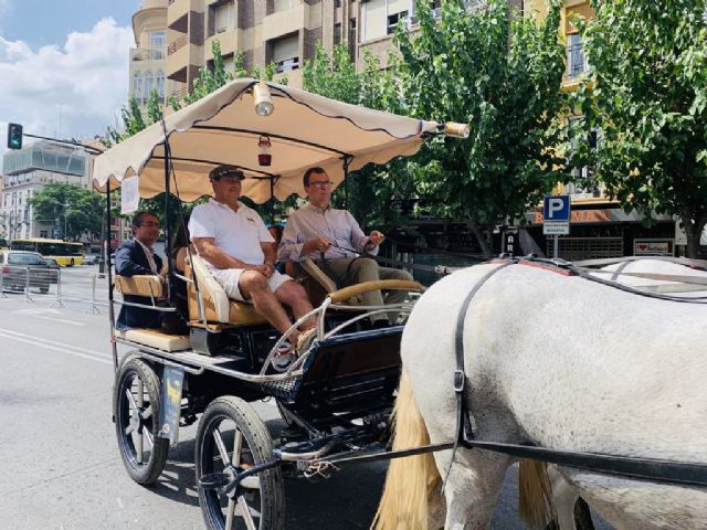 A caballo por el entorno del Jardín de Floridablanca - 3, Foto 3