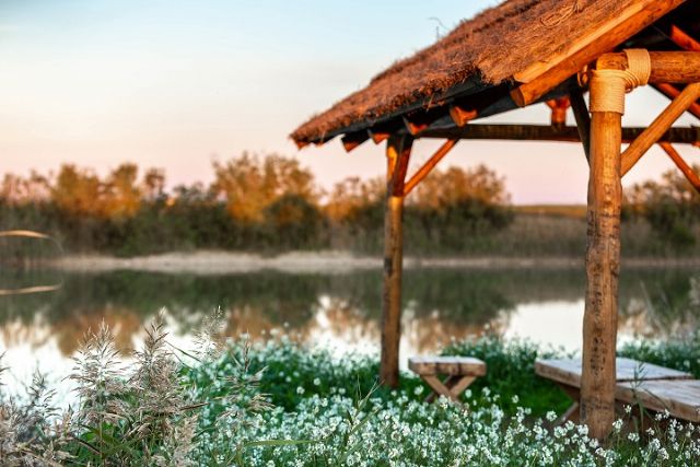 9 de septiembre, Día Mundial de la Agricultura: España, pionera en agricultura sostenible y comprometida - 2, Foto 2