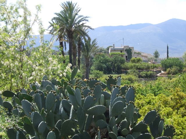 El Ayuntamiento de Blanca se suma a la jornada de trabajo para la declaración del Valle de Ricote como Patrimonio Agrícola Mundial - 2, Foto 2