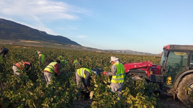 Los costes medios de producción se han disparado hasta los 1,05 €/kg para las uvas con denominación de origen - 1, Foto 1