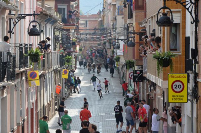 El encierro de El Pincha deja dos heridos, uno por asta de toro y una contusión - 2, Foto 2