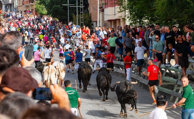 Los imponentes novillos de Fuente Ymbro cierran los encierros de Calasparra 2025 - 1, Foto 1