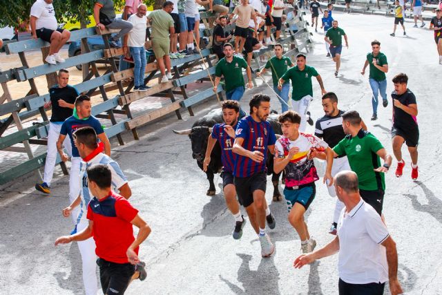 Los imponentes novillos de Fuente Ymbro cierran los encierros de Calasparra 2025 - 2, Foto 2