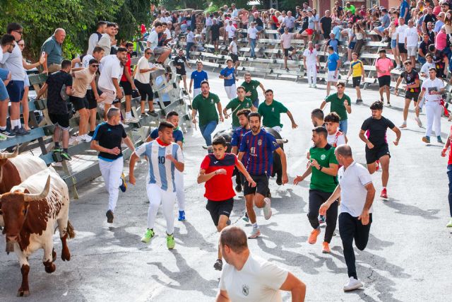 Los imponentes novillos de Fuente Ymbro cierran los encierros de Calasparra 2025 - 3, Foto 3