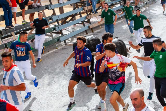 Los imponentes novillos de Fuente Ymbro cierran los encierros de Calasparra 2025 - 5, Foto 5