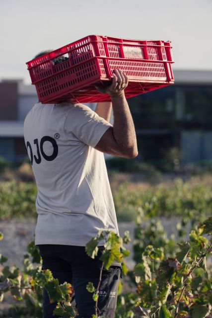 Un vino murciano, gran oro en Alemania - 4, Foto 4