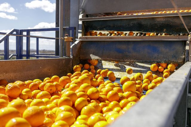 El CGC advierte que el acuerdo de Mercosur impactará en los precios citrícolas y en la viabilidad de la industria del zumo - 1, Foto 1