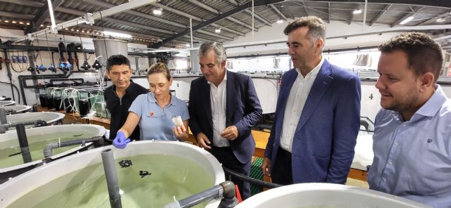 Las casi 200 tortugas bobas nacidas en la Región en los últimos tres años son destinadas a un programa deconservación de la especie - 1, Foto 1