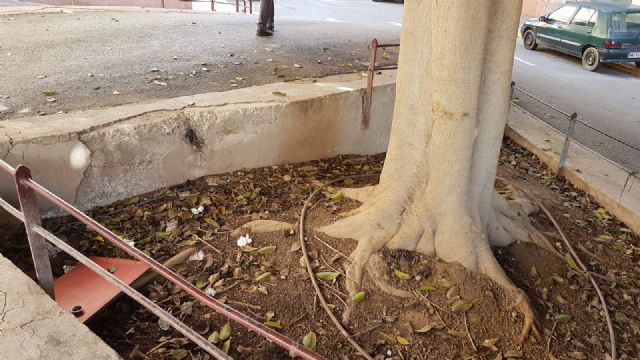 El PSOE solicita la remodelación de Avenida de Portugal y calle Abenhalaj tras años de abandono municipal - 4, Foto 4