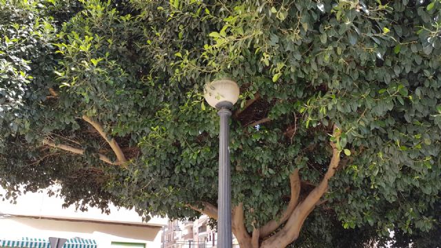 El PSOE solicita la remodelación de Avenida de Portugal y calle Abenhalaj tras años de abandono municipal - 5, Foto 5