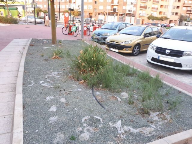 Ahora Murcia denuncia la total falta de mantenimiento de parterres de las aceras de Juan de Borbón - 3, Foto 3
