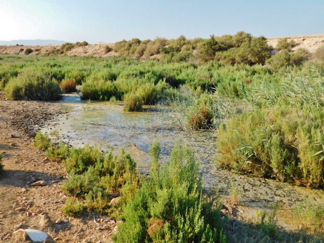 Ecoembes y ACUDE colaborarn para la mejora de fincas municipales de Alhama de Murcia, Foto 3