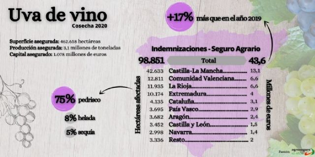 Agroseguro cifra en 43,6 millones de euros las indemnizaciones a viticultores en 2020, un 17% más que el pasado año - 1, Foto 1