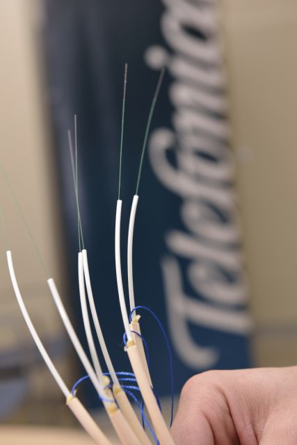 1.733 hogares y comercios de Lorca estrenan fibra óptica de Telefónica - 1, Foto 1