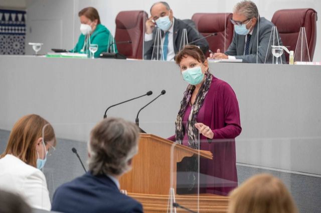 Podemos denuncia la falta de políticas e inversiones en salud mental por parte del Gobierno regional - 1, Foto 1