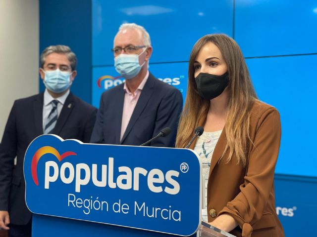 El PP dice basta ya al uso abusivo de las instituciones que hace Mario Gómez y vuelve a pedir su dimisión - 1, Foto 1