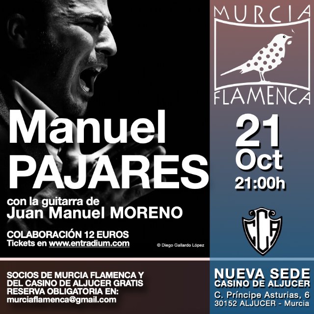 Manuel Pajares en Murcia Flamenca - 1, Foto 1