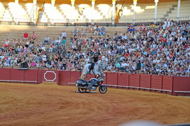 Antonio Rendón . España . Unidades de élite de la Policía Nacional muestran sus técnicas de intervención en la Maestranza ante un público entusiasta - 4, Foto 4