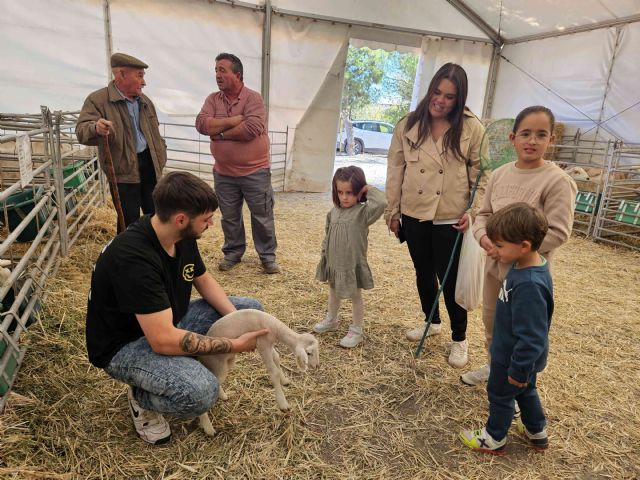 Se aplaza a marzo la Feria del Cordero Segureño y la Ganadería Extensiva de Archivel - 1, Foto 1