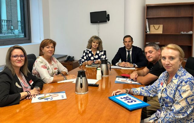 Sae y tecnos piden a los grupos parlamentarios que bloqueen el estatuto marco si llegara al congreso de los diputados - 1, Foto 1