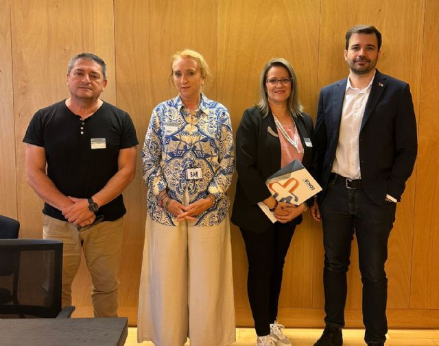 Sae y tecnos piden a los grupos parlamentarios que bloqueen el estatuto marco si llegara al congreso de los diputados - 2, Foto 2