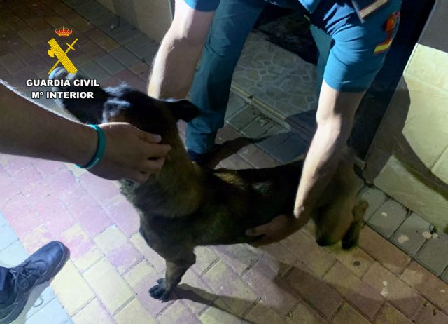 La Guardia Civil investiga a dos vecinos de Mula por abandono animal - 2, Foto 2