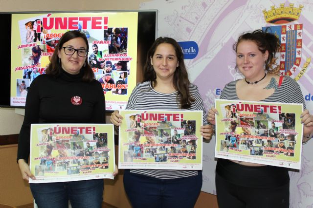 La asociación 4 Patas pone en marcha una campaña para captar nuevos voluntarios - 1, Foto 1