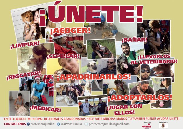 La asociación 4 Patas pone en marcha una campaña para captar nuevos voluntarios - 2, Foto 2