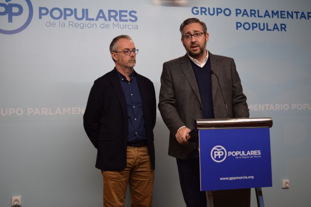 El PP propone cambiar el Reglamento de la Asamblea para garantizar la independencia de las comisiones de investigación - 1, Foto 1