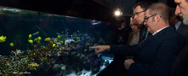 El Acuario de la UMU cumple diez años de vida - 1, Foto 1