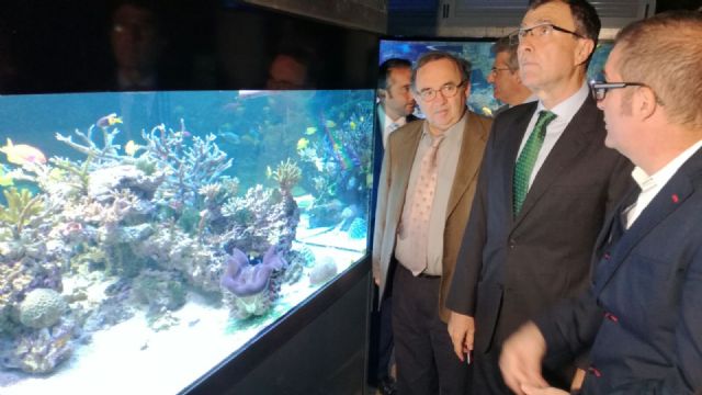 El Acuario de la UMU cumple diez años de vida - 2, Foto 2