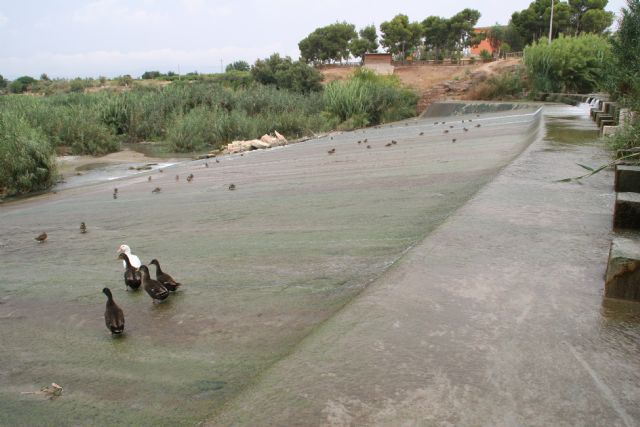 HUERMUR exige que no se deje sin agua a la huerta y a los agricultores - 4, Foto 4