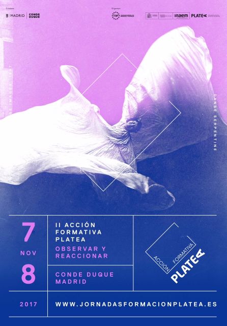 II Encuentro Formativo Platea 2017 - 4, Foto 4