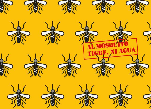 Salubridad pide precaución para evitar la aparición de mosquitos tigre en el Cementerio - 1, Foto 1