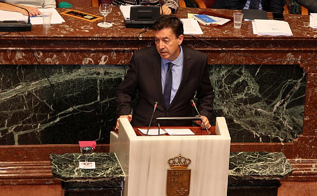 Aprobada la iniciativa de Ciudadanos para elaborar un plan que logre una respuesta efectiva ante los periodos de gripe - 1, Foto 1