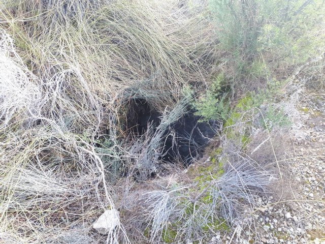 Herido un hombre al sufrir una caída en un pozo la sierra de los Mochuelos - 2, Foto 2