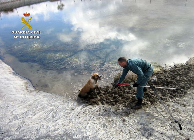 La Guardia Civil rescata a un perro atrapado en una balsa de riego de la pedanía caravaqueña de Archivel - 1, Foto 1