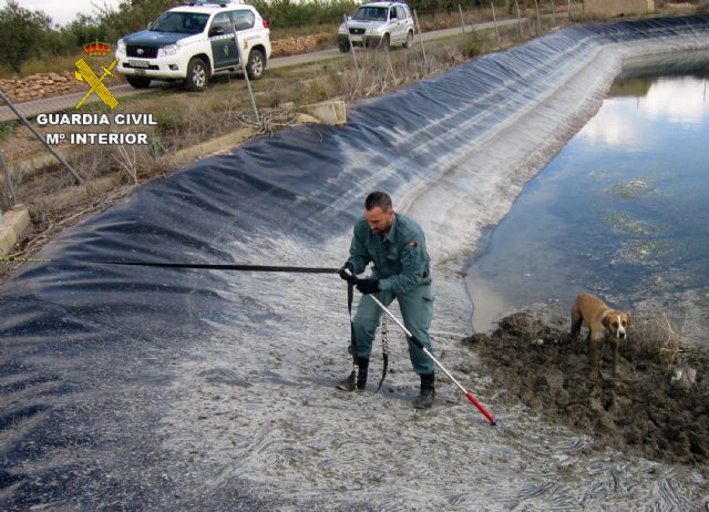 La Guardia Civil rescata a un perro atrapado en una balsa de riego de la pedanía caravaqueña de Archivel - 2, Foto 2