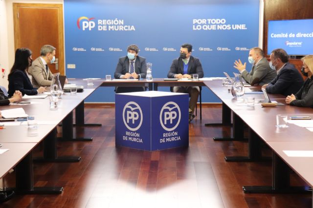 El PP presenta enmiendas para beneficiar a la Región con las que reclama la incorporación más de 310 millones a los PGE - 1, Foto 1