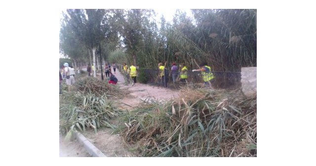 Comienza el segundo proyecto de los consejos comarcales de empleo 2021 - 1, Foto 1
