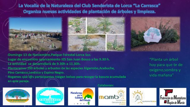 El Ayuntamiento de Lorca colabora con el Club Senderista La Carrasca en una nueva jornada de actividades de plantación de árboles y limpieza el 13 de noviembre - 1, Foto 1