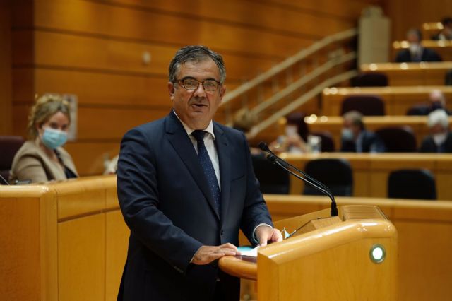 El PP urge en el Senado al Gobierno de Sánchez que implante una moratoria al impuesto a los envases de plástico para no empeorar la situación económica actual - 1, Foto 1