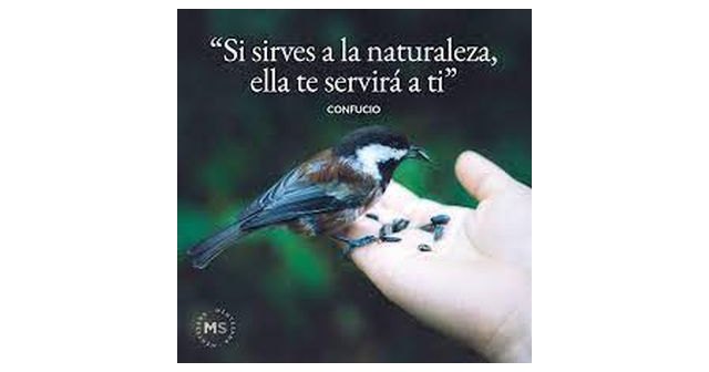 La Naturaleza no se fija en ti, pero, es para ti - 1, Foto 1