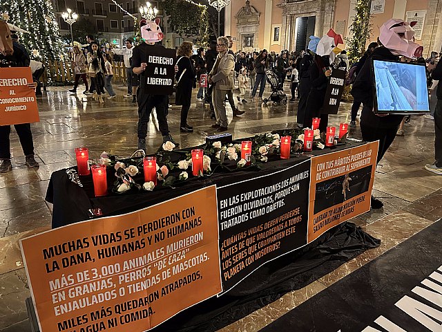 València Animal Save, Foto 1