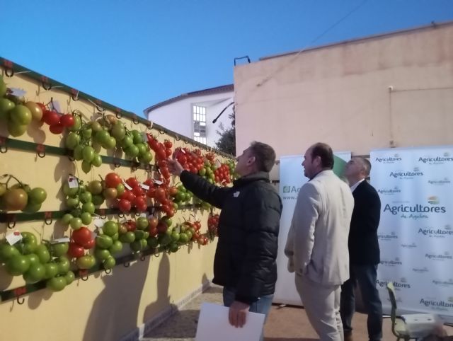 XXIX Concurso de Ramillete de tomate - 3, Foto 3