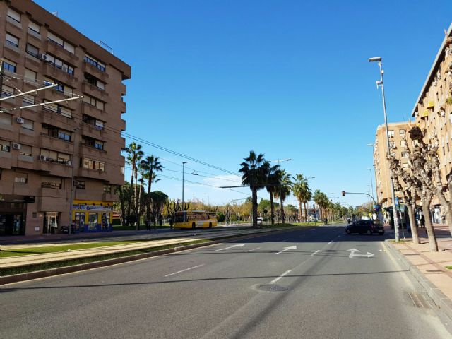 Parques y Jardines comienza la poda del medio centenar de palmeras de las avenidas Juan Carlos I y Juan de Borbón - 1, Foto 1